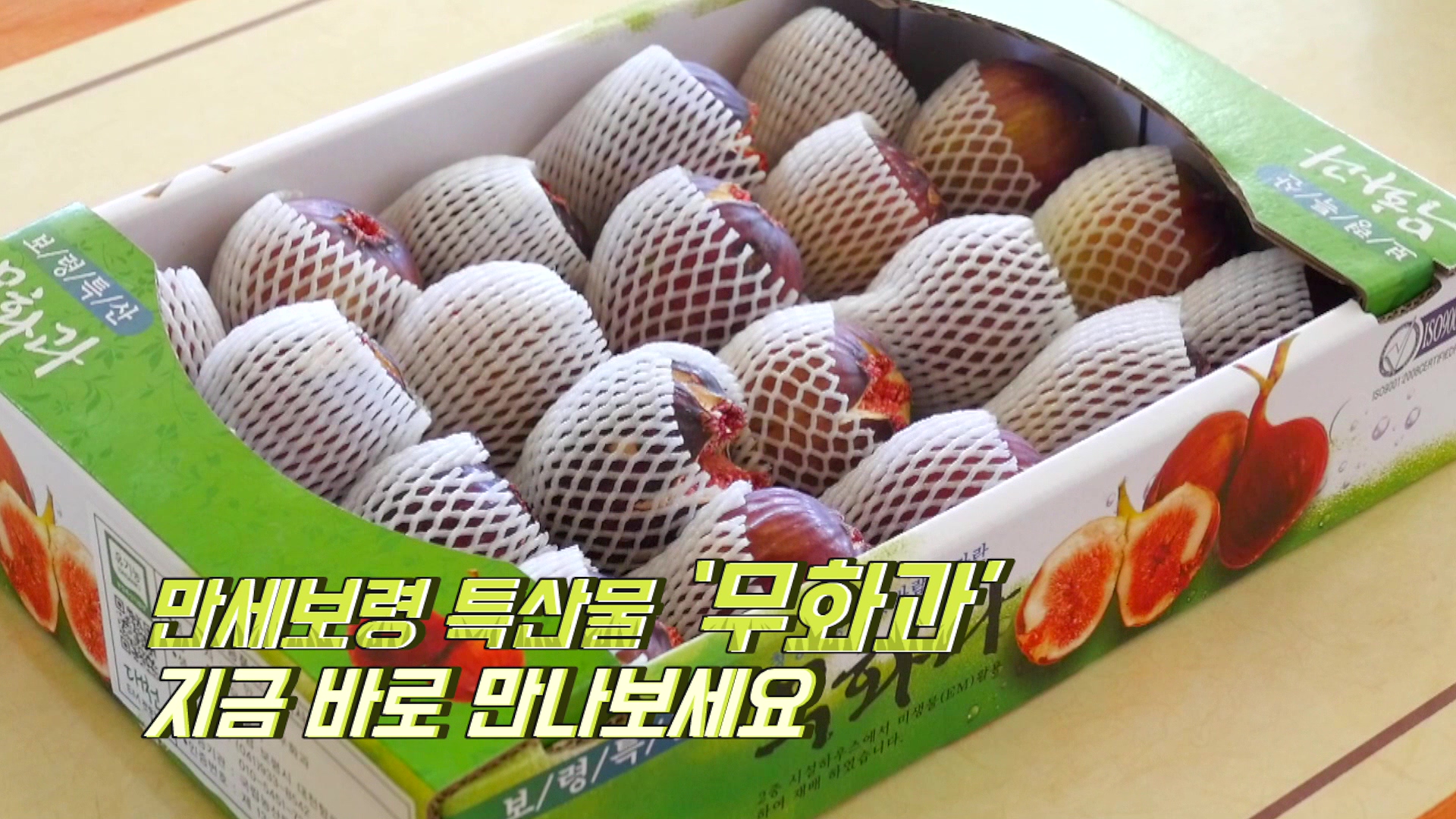 만세보령 특산물 '무화과'